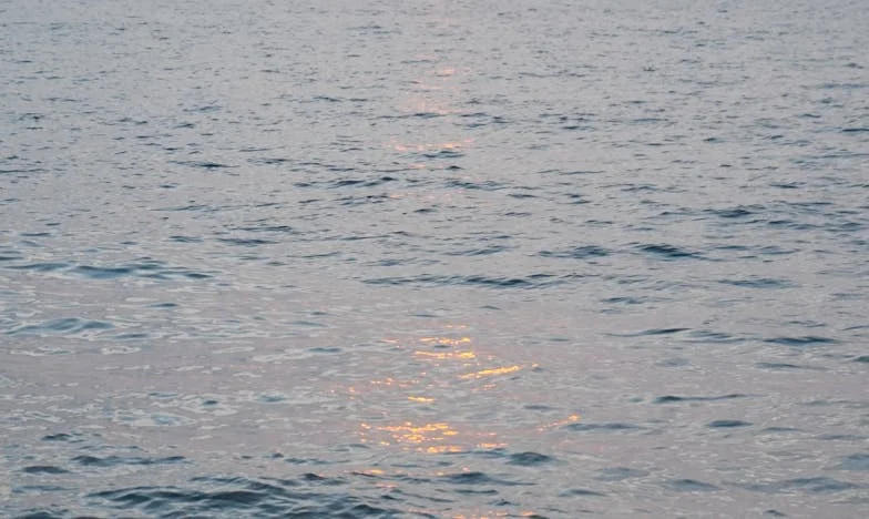 Nadie podía traer a mi nieto, hasta que una visita inesperada lo cambió todo: El viaje de mi padre hacia el perdón