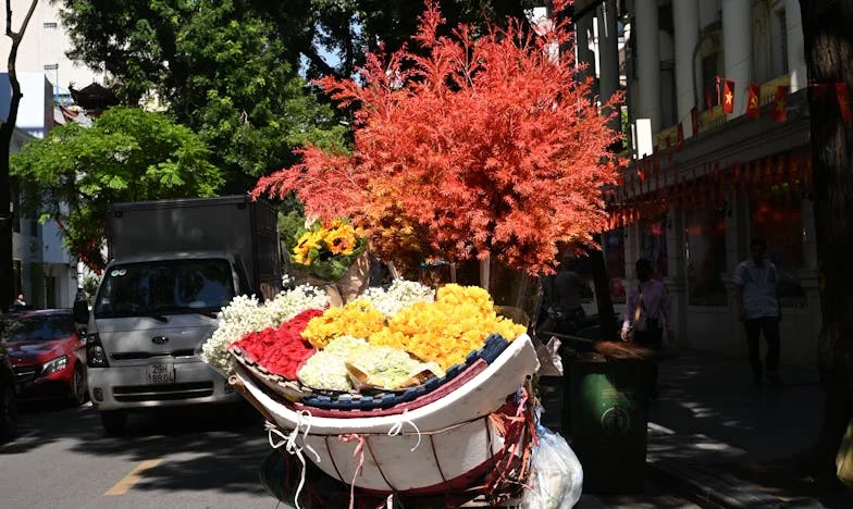 Promesas Rotosas: Entre el Dinero y la Sangre