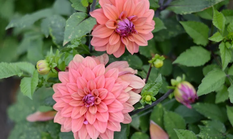 Un año sin Lucía: el precio de dejar de ayudar a mi hijo