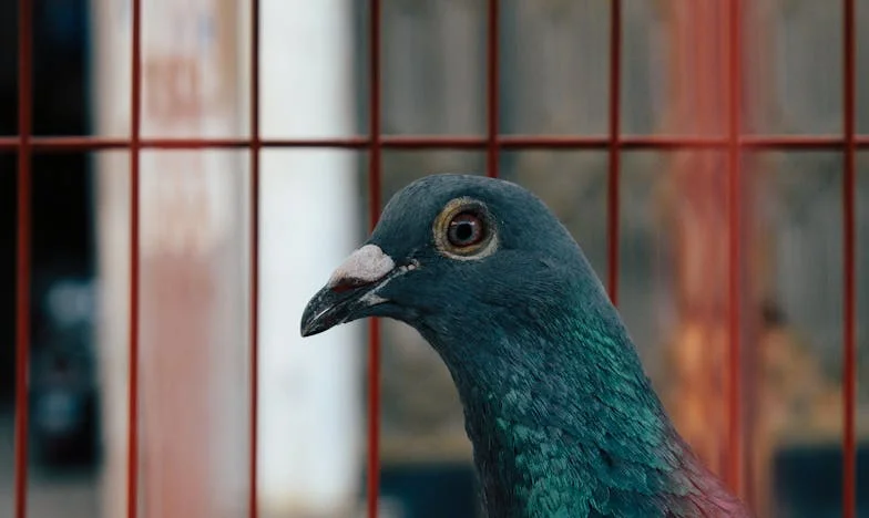 Volví a casa y ya no era mi hogar: ¿quién falló, ella o yo?