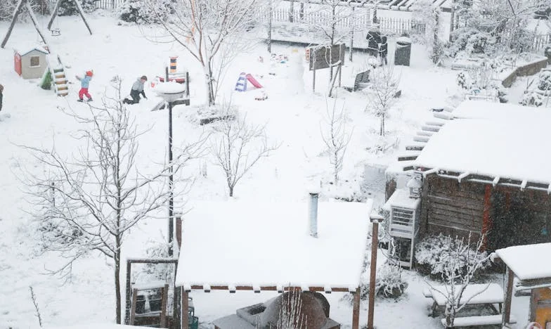 A Veces, la Bondad No Basta para Salvar a una Familia: Mi Historia con Lucía y su Hijo