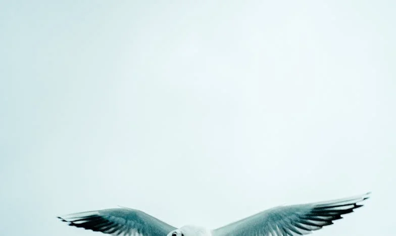 Cuando mi familia política me dio la espalda: una historia de dolor y renuncia