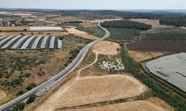 Cuando mi suegra invadió nuestro hogar: una batalla por el amor y los límites