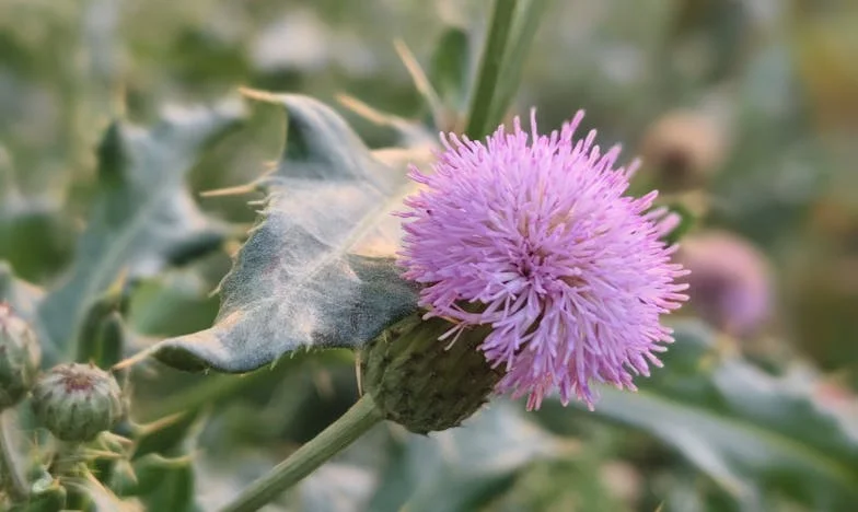 «Desde los dieciocho años pagaba alquiler a mi padre por mi propia habitación. Ahora espera que lo mantenga» – Mi historia de cuentas familiares, heridas y resentimientos