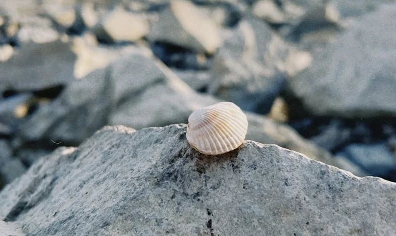 Dos años de silencio: Mi hija ya no quiere verme