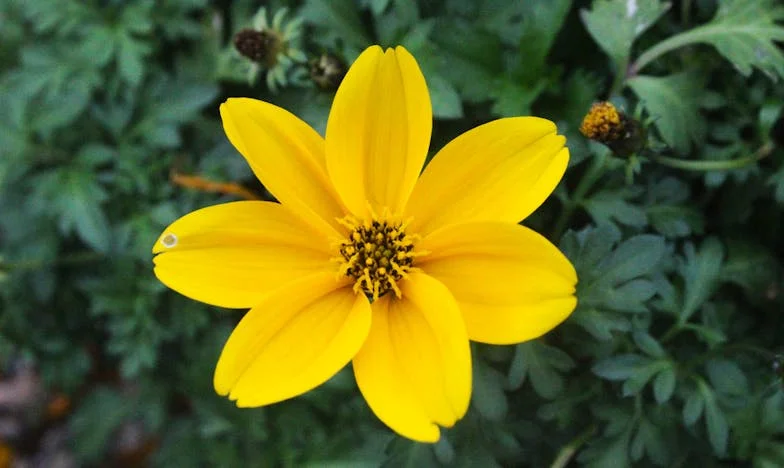 El día que mi hijo fingió no conocerme: una madre rota en la estación de Atocha