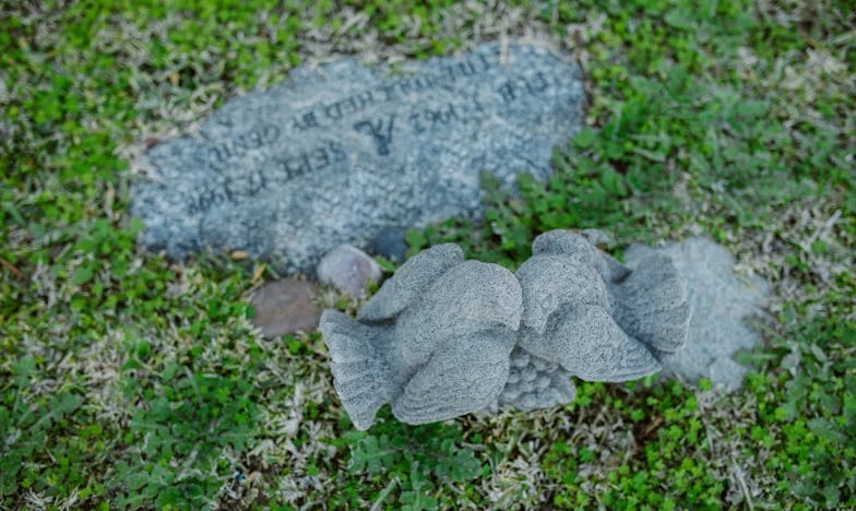 El último adiós de Lucía: Cuando el amor de madre trasciende la pérdida