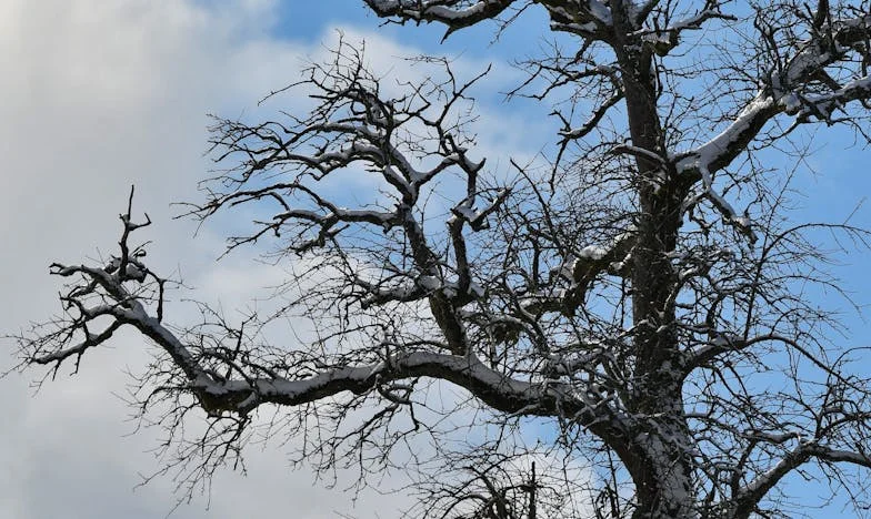 Entre el amor y la verdad: Cuando la familia de tu pareja te deja fuera