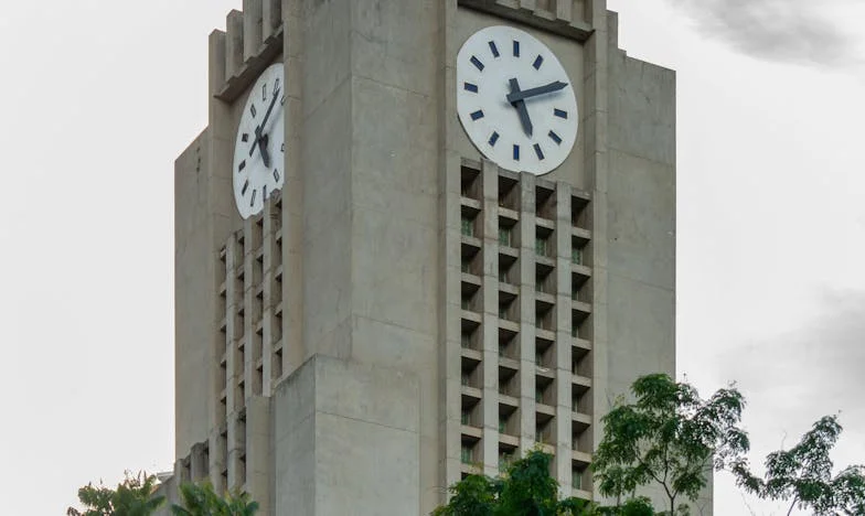 La llamada que cambió mi vida: Cómo mi hijo Diego me salvó cuando todo parecía perdido