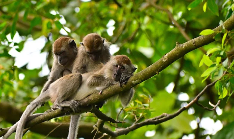 La noche en que todo cambió: Cuando dejamos a los niños con mi madre