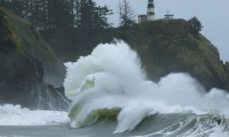 Mi hijo me dijo que no me esperaba en Navidad... Cancelé la transferencia para su hipoteca. ¿Egoísmo o justicia?