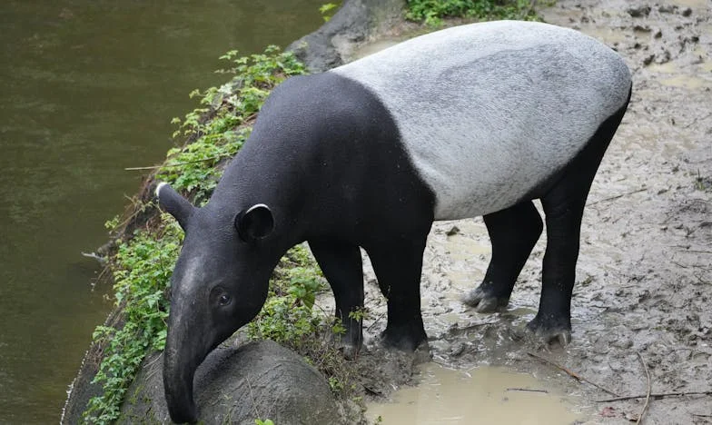 Mi suegra destrozó mi día (y mi matrimonio) en cinco minutos: ¿quién tiene la culpa?