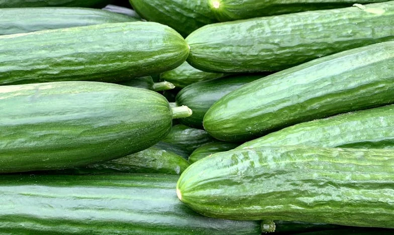 Nunca entendí por qué mi madre cocinaba para mi marido: Aquella noche lo descubrí todo