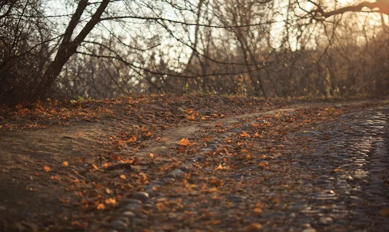 Resquicios de amor: Mi lucha por ser aceptada en mi propia familia