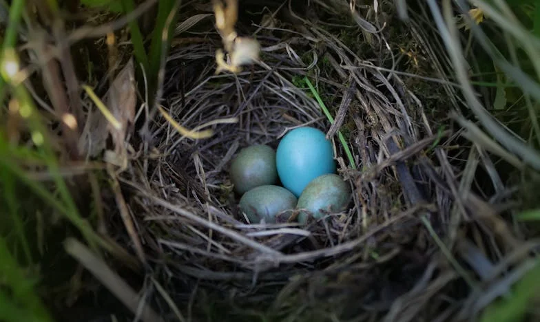 Siempre di todo por mi hija, pero ahora siento que no tengo lugar en su vida: la confesión de una madre española