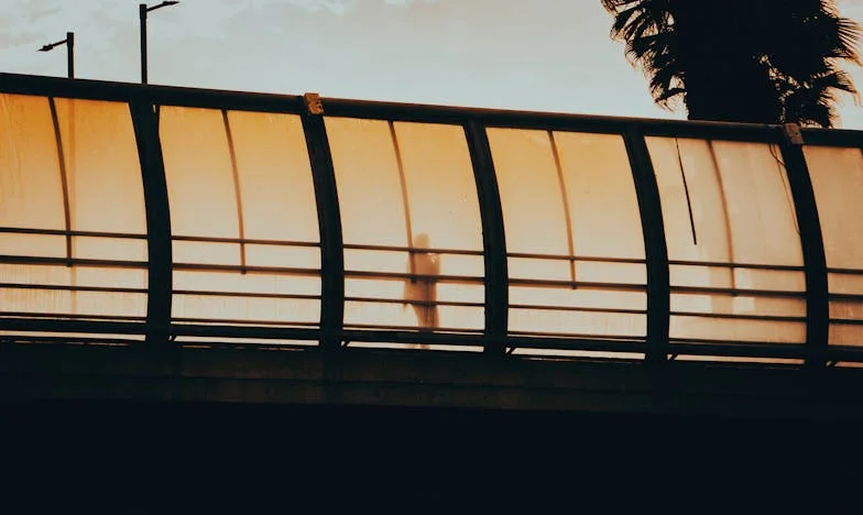 Tras la muerte de mi hermano, solo me quedó una caja de fotos: ¿qué valen los lazos familiares cuando el dinero lo decide todo?