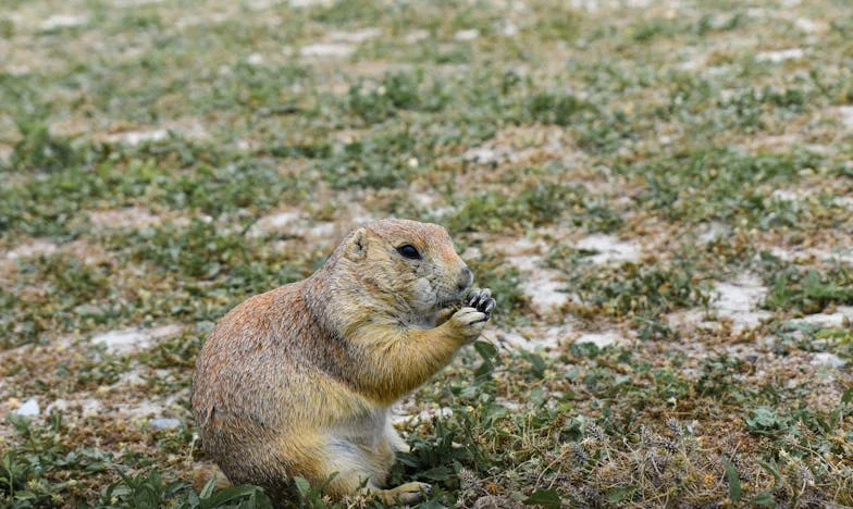 Cuando la familia te llama de vuelta: Un regreso que nunca llega