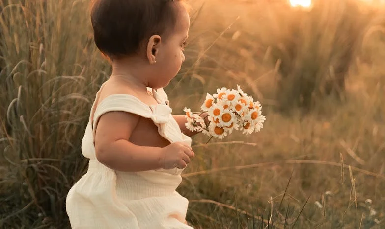 La Sorpresa en la Plaza Mayor: Un Gesto Cambia Vidas