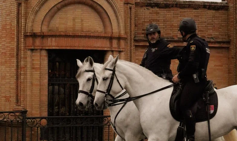 Mi cumpleaños, mi rebelión: el viaje que rompió los lazos familiares