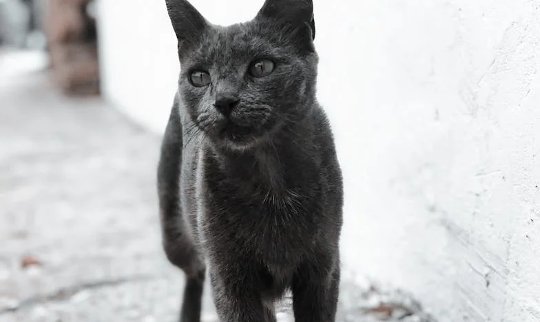 Dejé a mi familia atrás: Mi hermano cree que soy egoísta, pero no me arrepiento