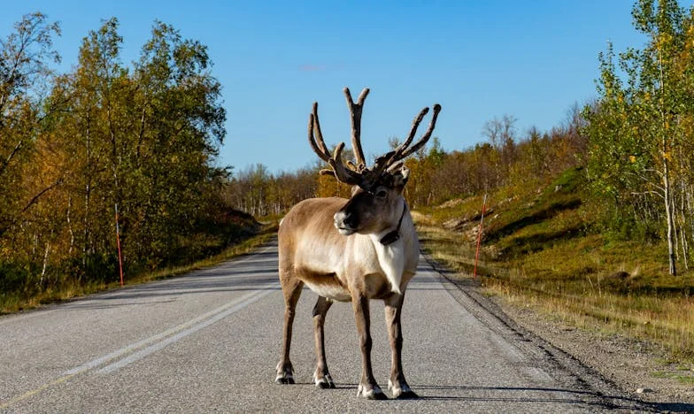 Dejé que mi hermana viviera en mi casa... Ahora siento que soy yo la invitada