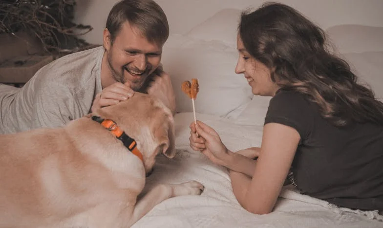 Eché a mi marido y a mi suegra de mi casa – y no me arrepiento