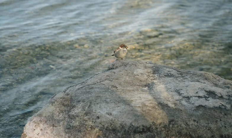 El Último Invierno en Madrid: Una Historia de Perdón y Esperanza