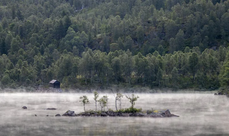 Mi abuela nunca aceptó a mi novio: ¿Puede el amor sobrevivir al rechazo familiar?