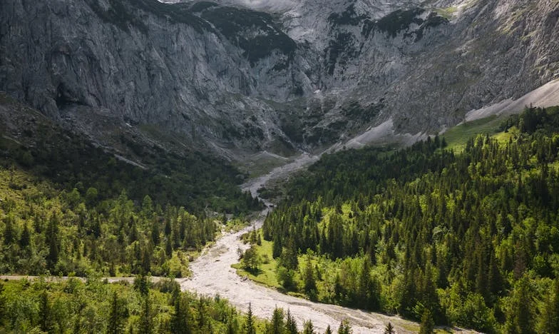 Mis hijos y nietos me han olvidado: nunca pensé en envejecer sola