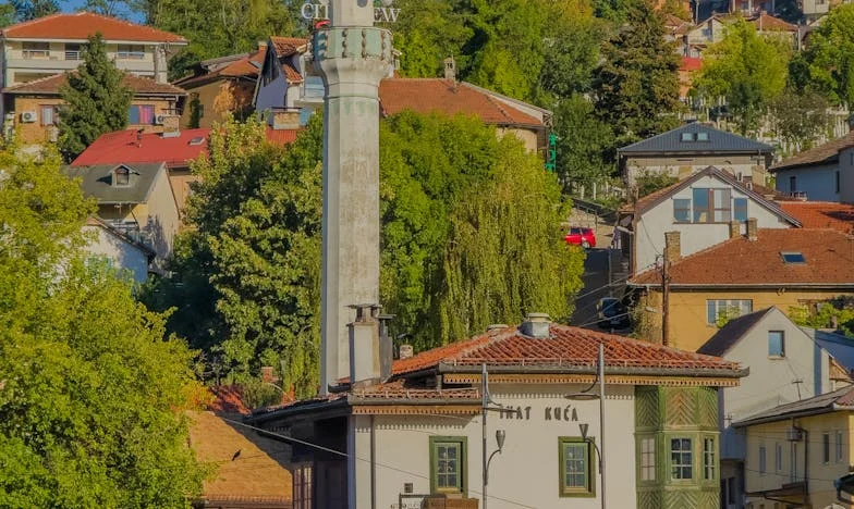 Culpable sin culpa: Mi vida bajo el peso de las expectativas de mi madre