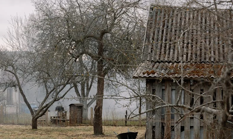 No plantaré demasiado. Sé que no me dejarás. Tu conciencia no te dejará ser perezoso.