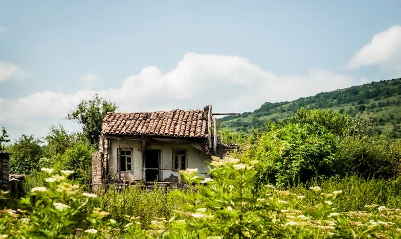 Obligados a convivir: Cuando la familia no es una elección