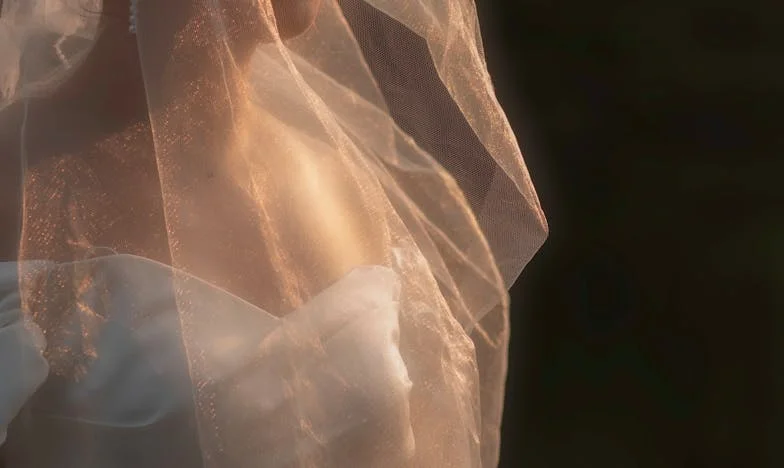 Sombras de amor: El día que rompí el favoritismo familiar en la boda de mi hermana Elena