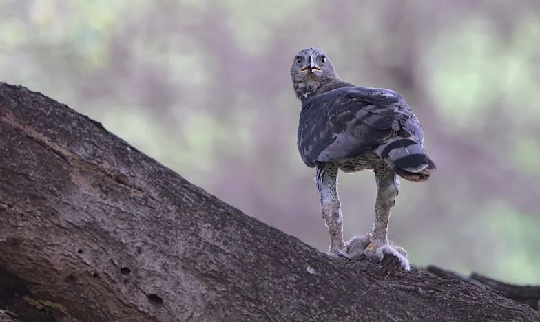 À 60 ans, j’ai cherché mon premier amour… et j’ai découvert un secret qui a bouleversé ma famille