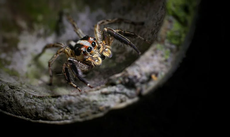 « Ce n’est pas avec qui il m’a trompée, mais pourquoi » : Mon mari m’a avoué sa trahison après trente ans de mariage