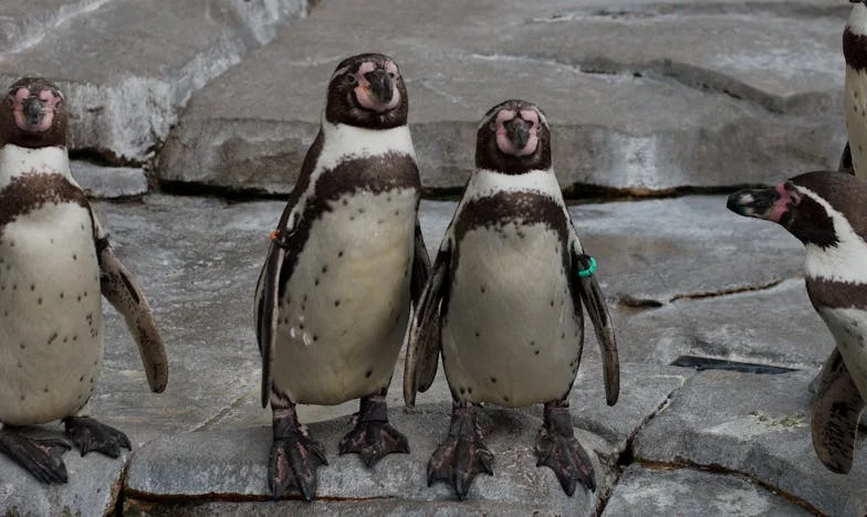 J’ai découvert que mon mari menait une double vie : mon histoire bouleversante