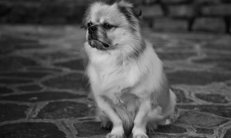 J'ai tout perdu pour une illusion : l'histoire d'un homme qui regrette d'avoir quitté sa femme pour sa maîtresse