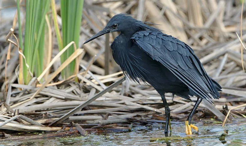 J'ai tout sacrifié pour mon fils... et il m'a trahie : Mon histoire de dettes, de secrets et d'amour maternel