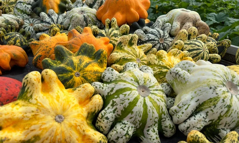 Après la mort de ma mère, j'ai découvert un secret qui a bouleversé toute ma vie : l'histoire d'une vérité cachée et d'une quête d'identité