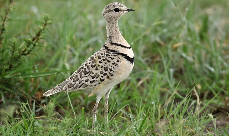 Après trente ans de mariage, je dois réapprendre à vivre : l’histoire d’Élise, 58 ans, qui cherche enfin à exister pour elle-même