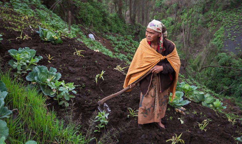 J'ai découvert le journal de ma mère : le secret qui a brisé mon enfance