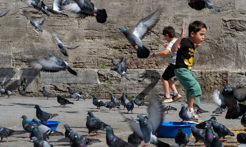 « J’ai découvert le secret de mon fils : quand l’amour maternel se heurte à la réalité »