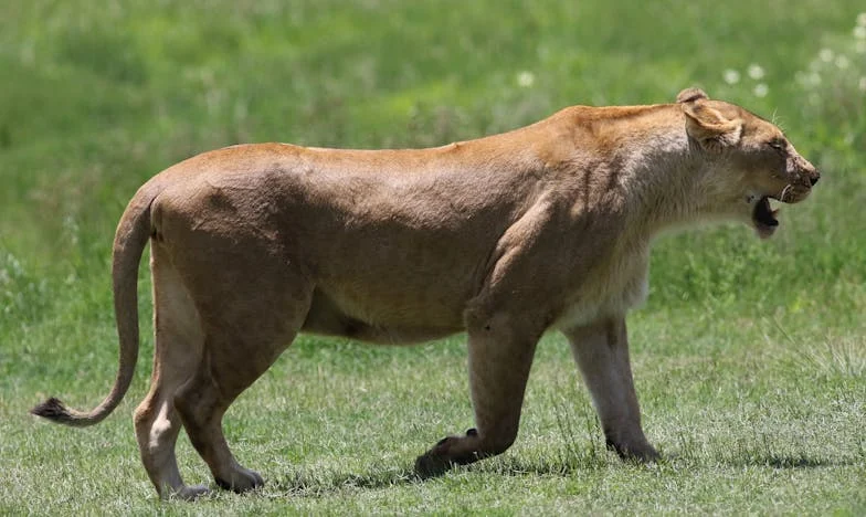 J’ai fui ma mère toxique… pour tomber dans un mariage sans amour : que feriez-vous à ma place ?