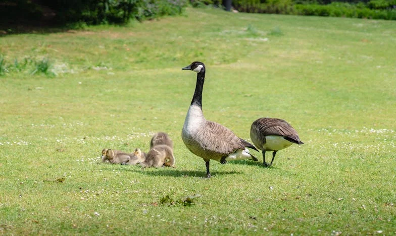 J'ai ouvert ma porte à ma meilleure amie... et elle m'a volé mon mari