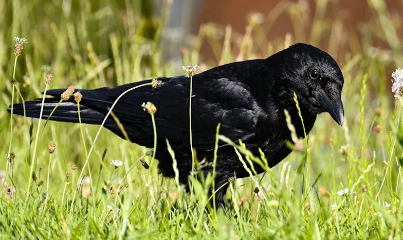 « J’ai tout sacrifié pour ma belle-mère malade : comment cette épreuve a bouleversé ma famille »