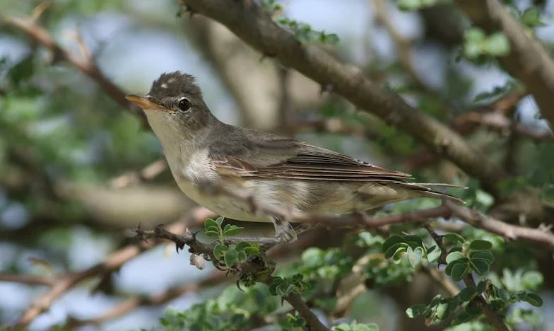 J’ai tout sacrifié pour ma fille… et aujourd’hui, elle me tourne le dos