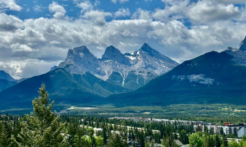 J’ai tout sacrifié pour mon amie… jusqu’au jour où j’ai découvert sa trahison