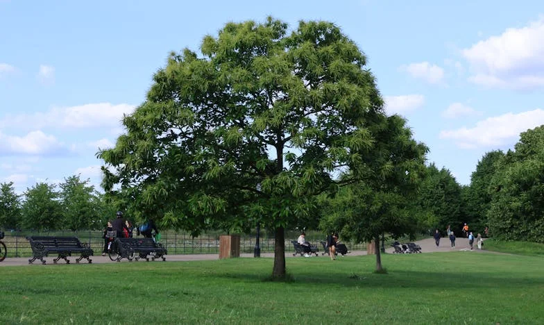 J’étais la reine de la fête… aujourd’hui, personne ne pense à mon anniversaire