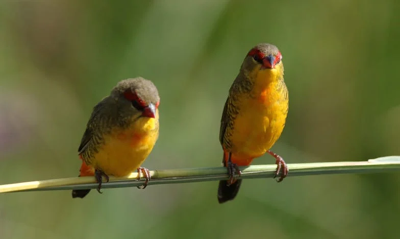 Le journal secret de ma mère : ce que j’ai découvert en revenant chez elle après sa mort a bouleversé ma vie