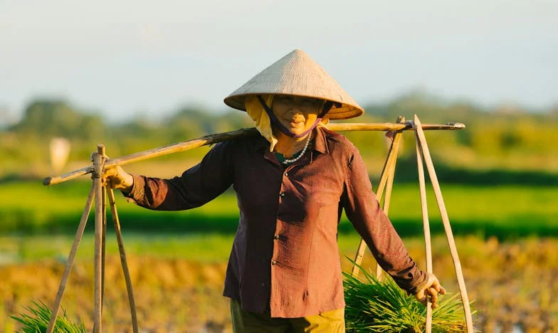 « Ma fille ne veut pas de moi à son mariage : la vérité qui m’a brisée »
